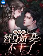 陆总的替身娇妻不干了