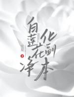 白莲花净化副本