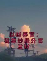 以财养官：我靠炒股升官发财