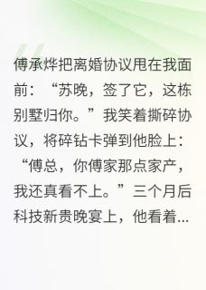 离婚后前夫成了我榜一大哥